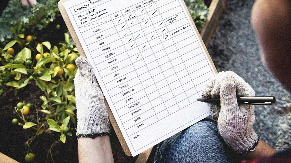 《茗皇乌龙湛江专版》喜获创意设计大赛**奖